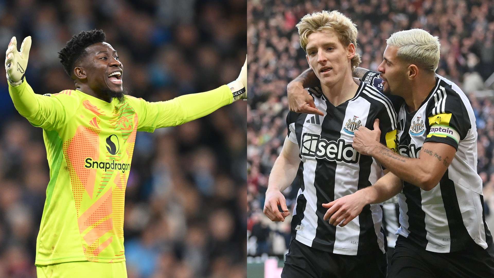 体的凝聚力 体的凝聚力