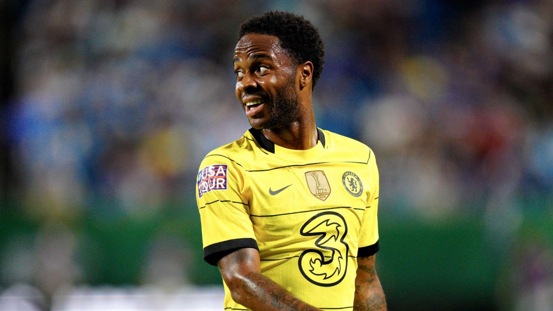 我们不仅能 我们不仅能