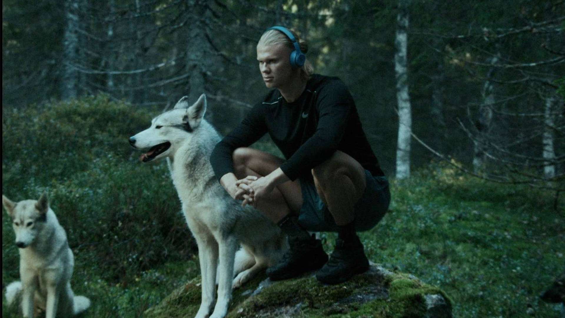 邱祺缘首夺高低杠金牌，邓娅兰跳马首次摘金创历史